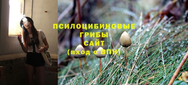 ГАЛЛЮЦИНОГЕННЫЕ ГРИБЫ Аркадак