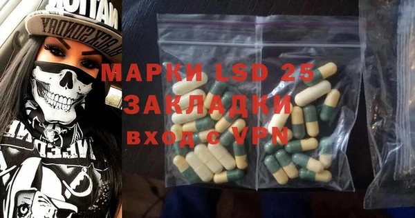 ГАЛЛЮЦИНОГЕННЫЕ ГРИБЫ Аркадак