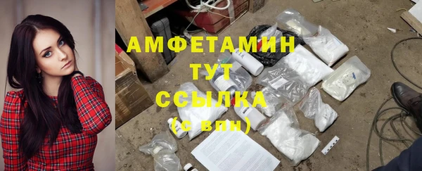 ГАЛЛЮЦИНОГЕННЫЕ ГРИБЫ Аркадак