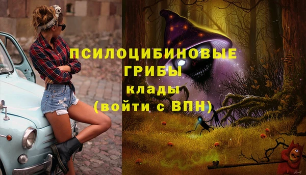 гидропоника Арсеньев